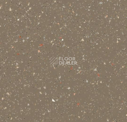 Линолеум Forbo SureStep Original 171262 umber фото 1 | FLOORDEALER